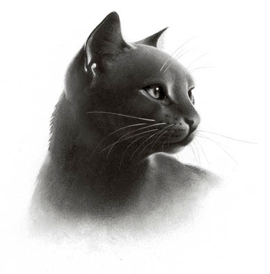 BLACK LIVES MATTER — retark: Free to use warrior cat icons I have