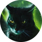 Violetshine.Template