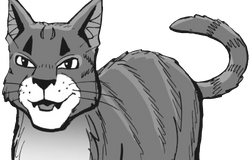 Absolutely losing my mind at this pixel art of Hawkfrost from the Warriors  Wiki : r/WarriorCats