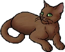StarClan Version