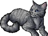 Willownose