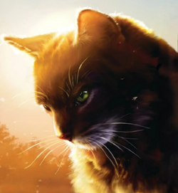 Hollyleaf Warriors Wiki Fandom Hollyleaf Warriors Wiki Fandom