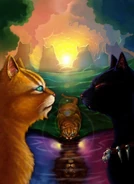 Traditional Chinese Language Edition Textless Cover