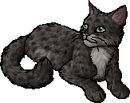 StarClan Version