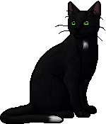 Ravenpaw (Warrior cats) - Drawception