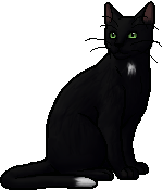 Ravenpaw, Warrior Cats Wiki