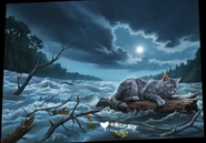 Simplified Chinese Language Edition Textless Cover