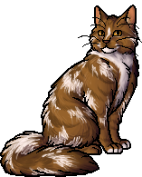 Alle WarriorCats- Clanzeichen auf einmal?  Warrior cats, Warrior cats clans,  Warrior cat