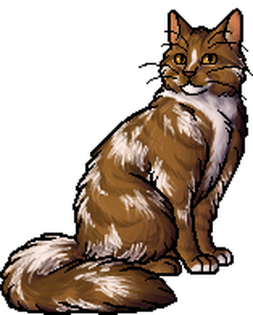 Sparkpelt, Warriors Wiki