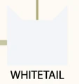 Whitetail (WC)'s icon on the Warriors family tree