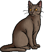 Another Randomized Warrior Cats Wiki Set by TigerLilyStudios on