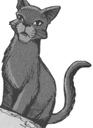 Bluestar.SE-2.png (279 KB) In "La Profezia di StellaBlu" manga