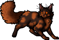 Bluestar, Firestar, Tigerstar, Redtail and Spottedleaf refs! : r