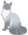 Echosong's silhouette on the Warriors website