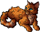 StarClan Version