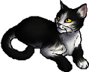 StarClan Version