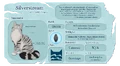 Silverstream's Warriors website fact sheet for The Prophecies Begin