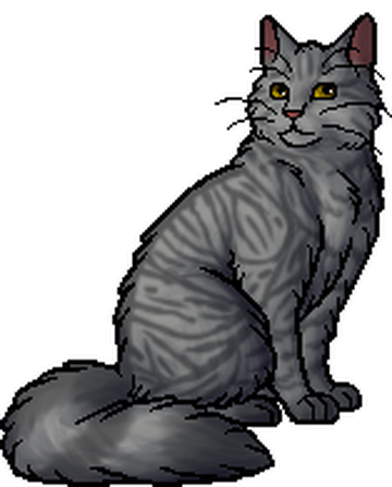 Cats of the Clans, Warriors Wiki