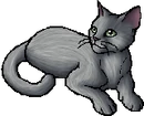 StarClan Version
