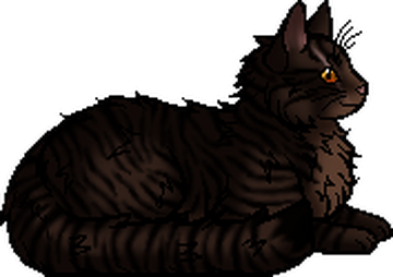 Warrior Cats - Here's the warriors hunger games, I know it's not big, but  it was the best I could do, and here's how you play- comment the cat you  don't like