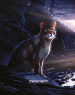 First look at brand new Warrior Cats artwork from The Ultimate Guide:  Updated and Expanded Edition