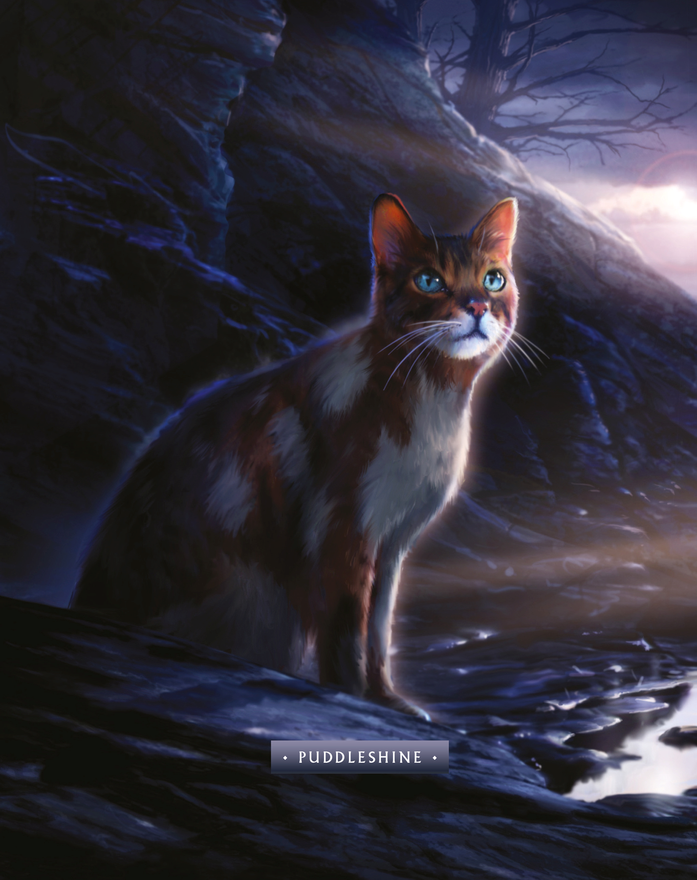 Let's Amend the Warrior Code! - Analyzing Warrior Cats 