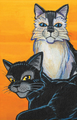 Ravenpaw on the cover of The Heart of a Warrior