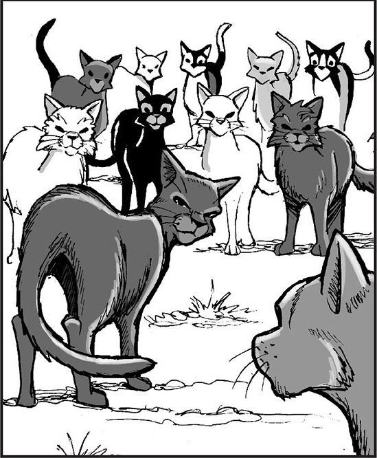 Bluestar  Warrior cats books, Warrior cats, Warrior cats art