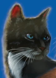 Galestar feels deeply betrayed by Stripestar's secrecy that has led to endless tragedy