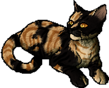 Cat, Warriors Wiki