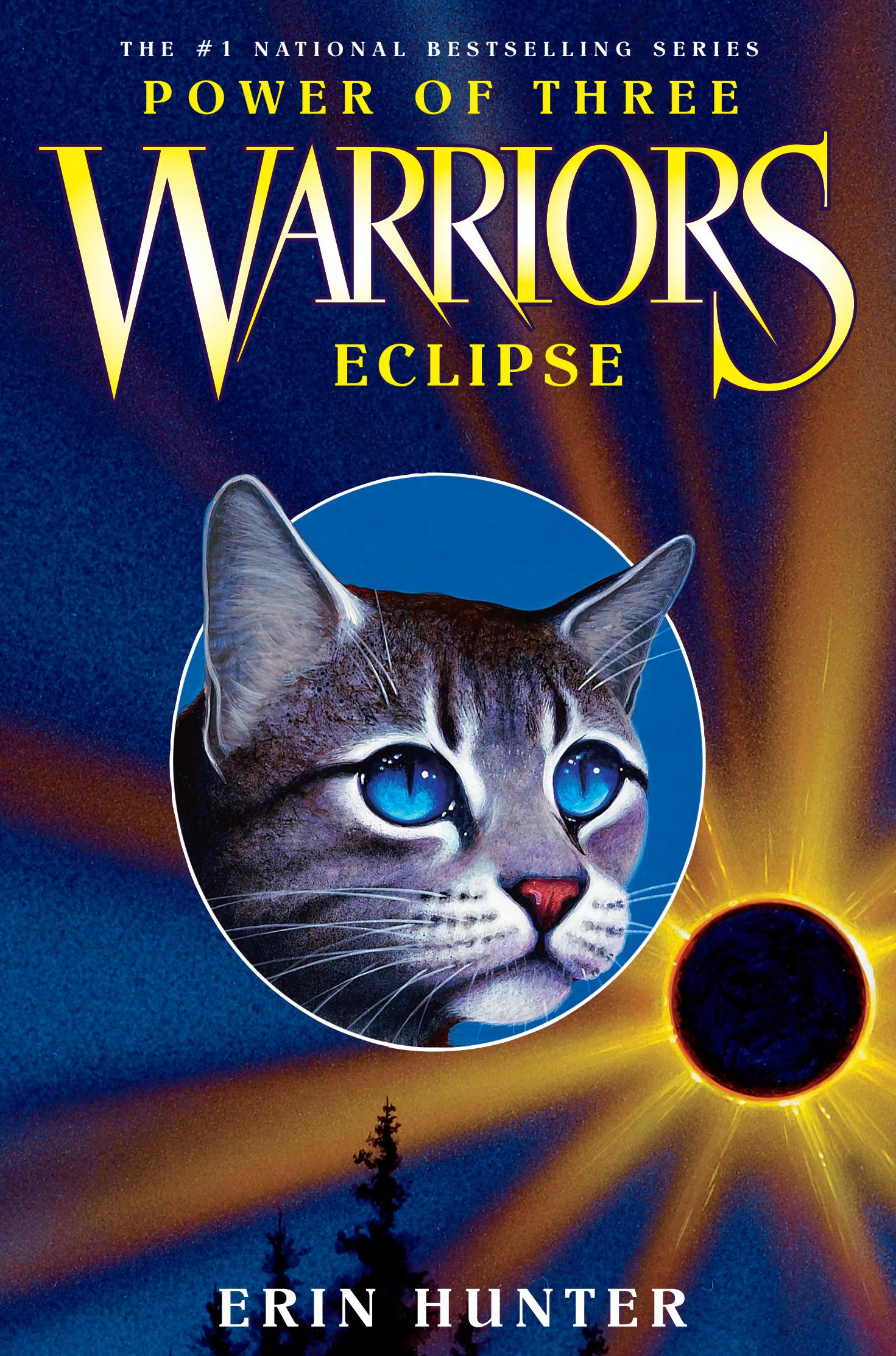 Warriors: Power of Three Box Set: Volumes 1 to 6 by Erin Hunter, Paperback