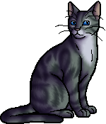 warrior cat designs — Boulder Elder of ShadowClan “That's right