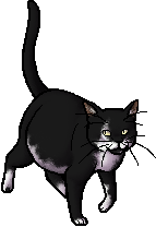 Bookclan - Ravenpaw, Wiki