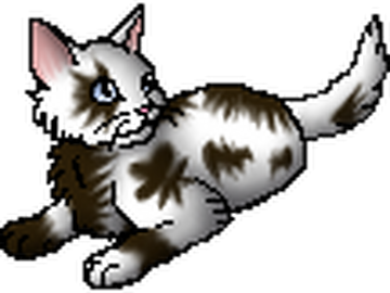 Ashfur (ShC), Warriors Wiki