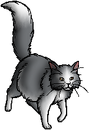 Mistpaw, Warriors Wiki