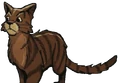 Sparrowpelt in SkyClan and the Stranger