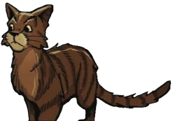 Sparrowpelt was poisoned with deathberries after ShadowClan's night raid on their camp