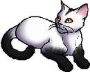 Alternative StarClan Version