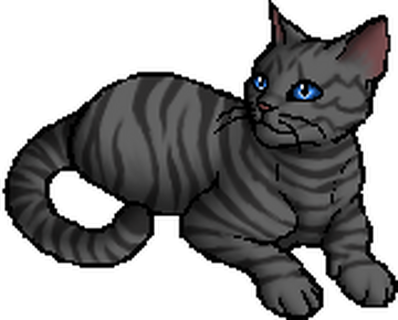 M.Jay Warriors Art! — 100 Warrior Cats Challenge 13 - Jayfeather (+