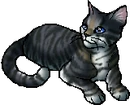 Feathertail.star.alt3.png (83 KB) Alternative StarClan Version
