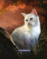 Sagewhisker in The Ultimate Guide: Updated and Expanded Edition