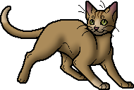 The Warriors Wiki changed their background to celebrate Squilfstar's new  title as leader! : r/WarriorCats