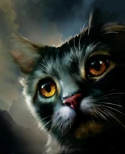 Stormfur was originally suspected as the silver cat destined to save the Tribe