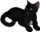 StarClan Version