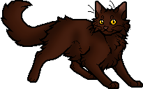 Oakheart [Warrior - Cats] by ~Akatsu -- Fur Affinity [dot] net