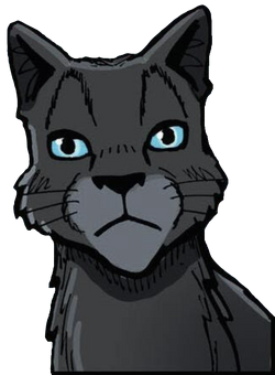 Crowfeather (Warriorcats)