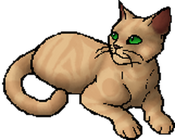 sandstorm (warrior cat) Animated Picture Codes and Downloads  #96851196,497307337