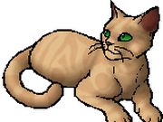 Sandstorm Warriors Wiki Fandom Sandstorm Warriors Wiki Fandom