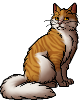 pics Warriors Mapleshade Design mapleshade warriors wiki fandom