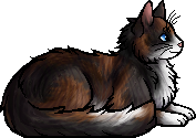 Alle WarriorCats- Clanzeichen auf einmal?  Warrior cats, Warrior cats clans,  Warrior cat